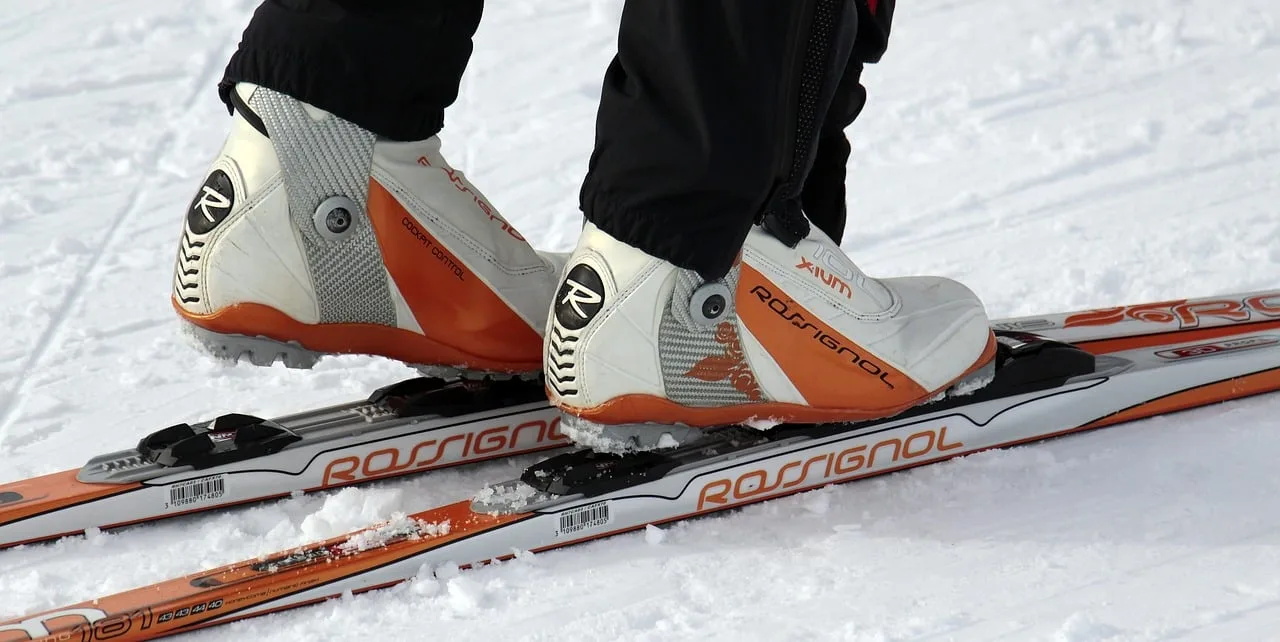 cross country skiing, cross-country ski, winter