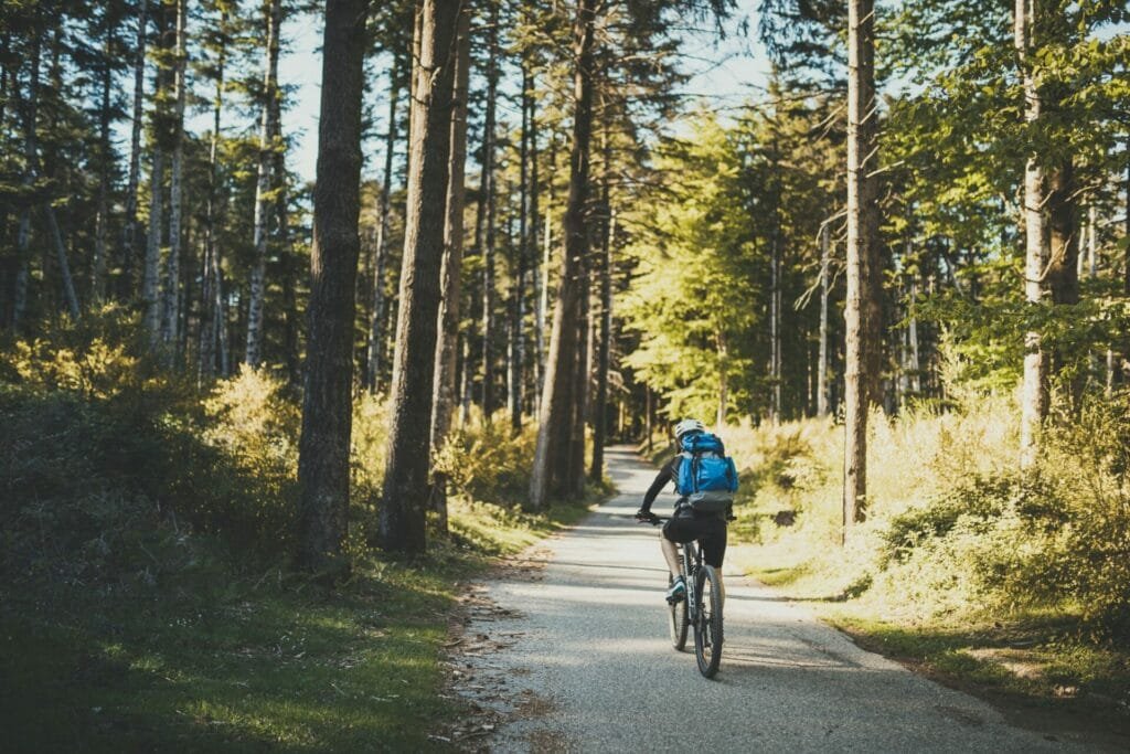 Young boy with bicycle and backpack in the mountains. Mountainbike excursion